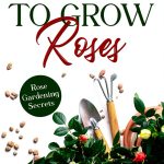 Rose Gardening Guide for Beginners - Kindle Edition-0