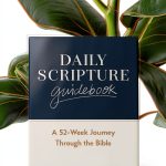 Zondervan Kindle Bible Study Guide 345‑Page Devotional eBook-0