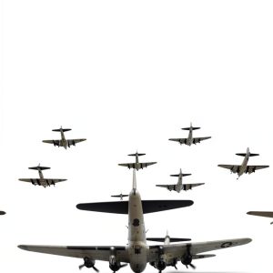 World War II Aviation Biography Arcadia Press Kindle eBook-0