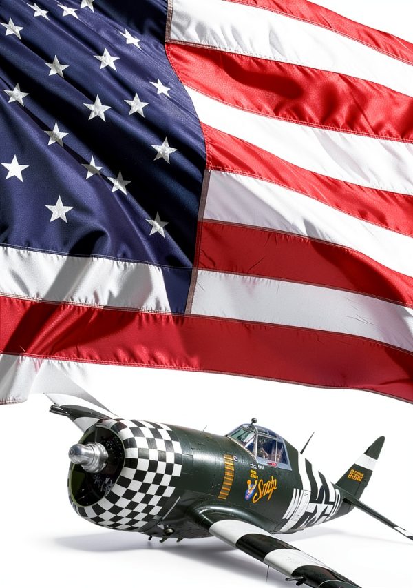 P47 The P47 Press Kindle eBook WWII Aviation History Illustrated-0